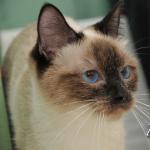 Half Baked and Fully Brewed